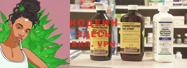 крисы Алагир