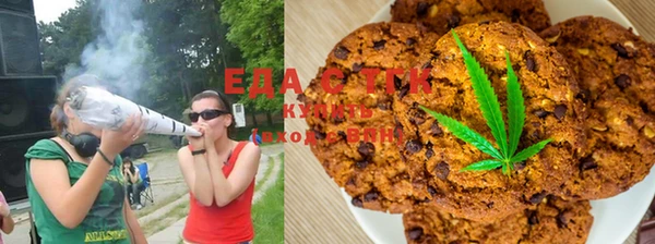 крисы Алагир
