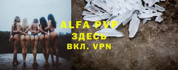 крисы Алагир
